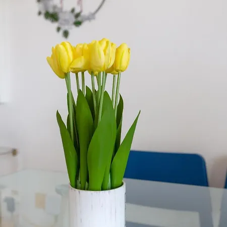 Apartman Carihuela Torremolinos